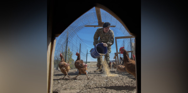 America’s farmers are dying out. The USDA is calling on veterans to take their place